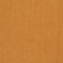 25509