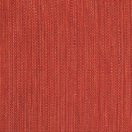 25502