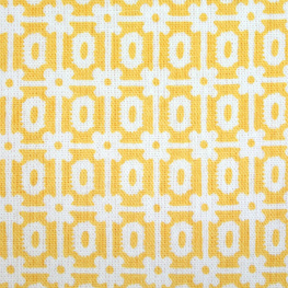 25508