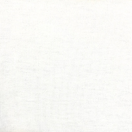 25509
