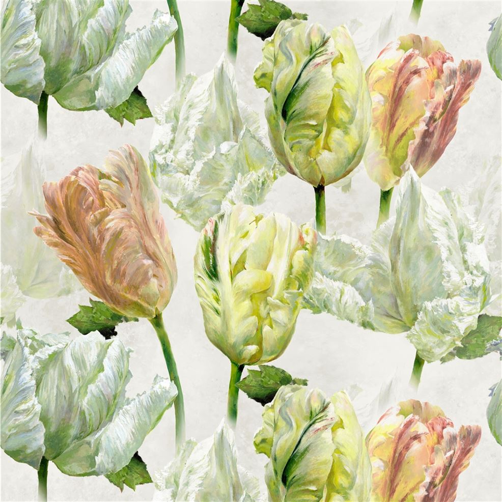 Designers Guild SPRING TULIP BUTTERMILK