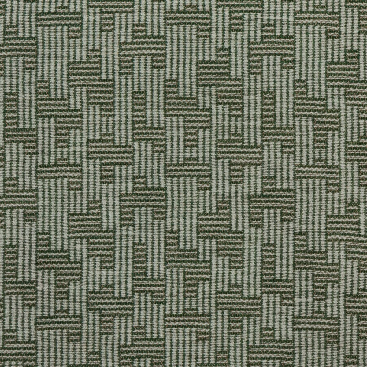 Kelly Wearstler Fabric Orbis - Pistachio/Sprig