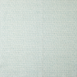 24427_24428