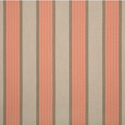 Cove Wide Stripe Outdoor Fabric - Cameo