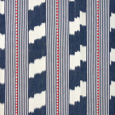 Absurd Stripe Cotton Fabric - Navy/White/Pink