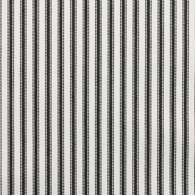 Ohio Ticking Traditional Ticking Stripe Outdoor Fabric - Black