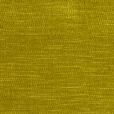 Louisiana Heavy Weight Poly Cotton Chenille Pile Velvet Fabric - Lichen