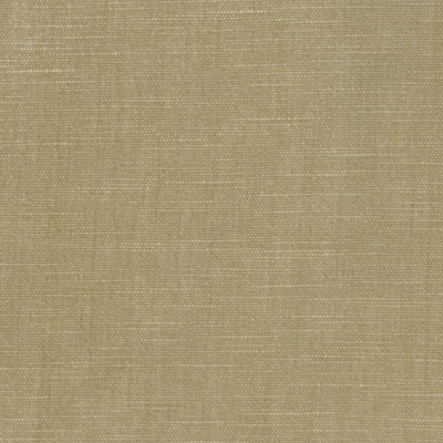 Louisiana Heavy Weight Poly Cotton Chenille Pile Velvet Fabric - Tapioca