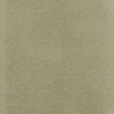 Opulent Luxurious Pile Cotton Velvet Fabric - Moss