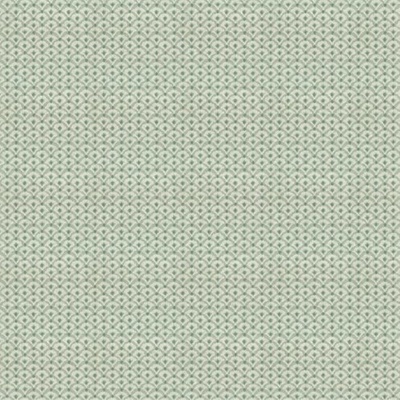 Ashoka Printed Fabric - Pale Aqua