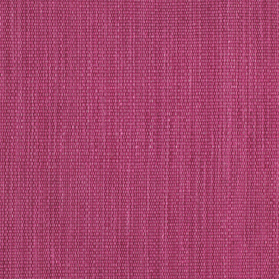 Mahesh Cerise