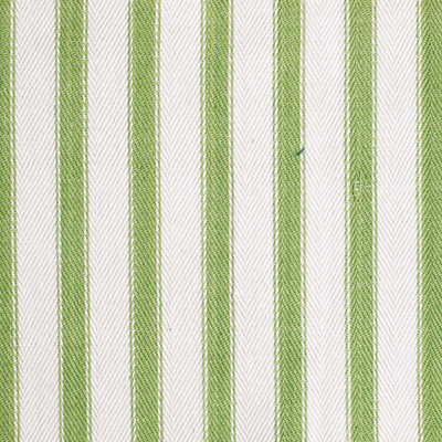 Marina Ticking Fern
